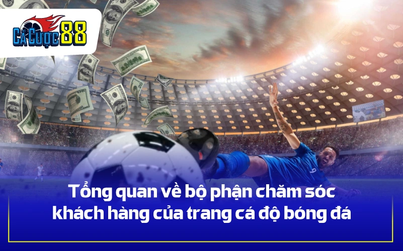 Tổng quan về bộ phận chăm sóc khách hàng của trang cá độ bóng đá