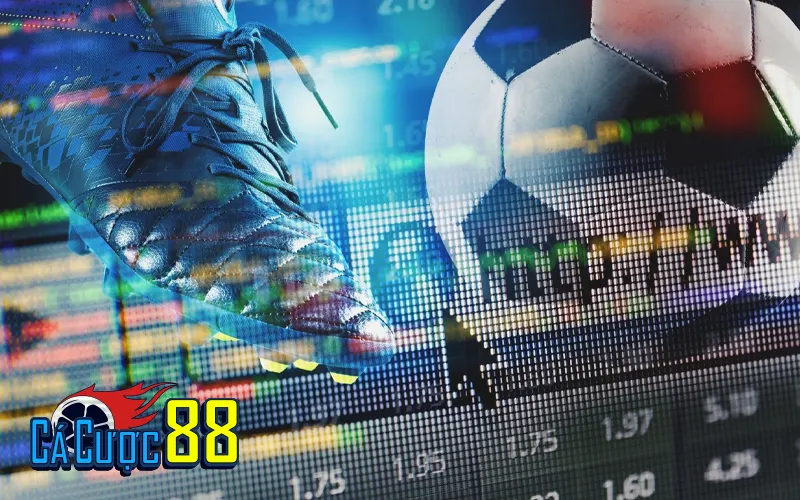 Cách chơi cá độ bóng đá không thua